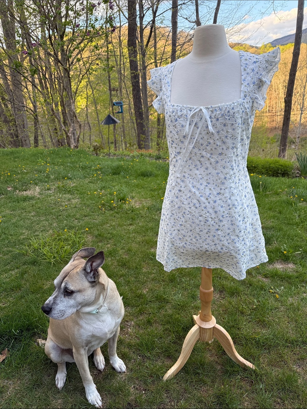 Cider White Mini Dress with Blue Floral Print